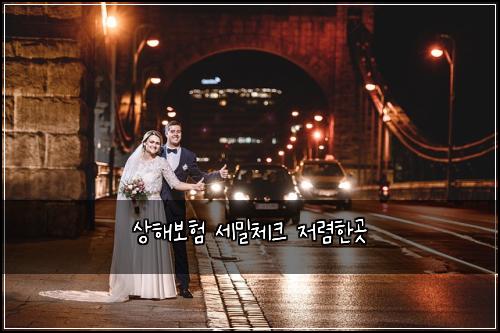 상해보험 세밀체크  저렴한곳