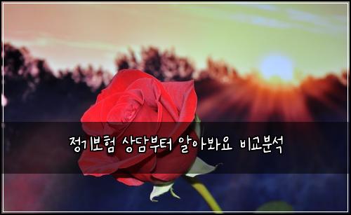 정기보험 상담부터  알아봐요 비교분석