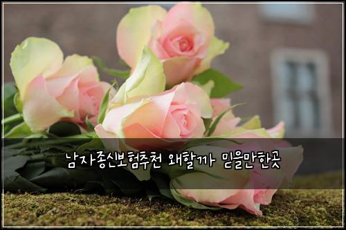 남자종신보험추천 왜할까 믿을만한곳