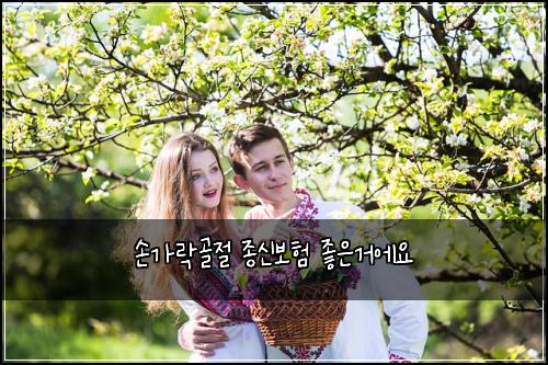 손가락골절 종신보험 좋은거에요 