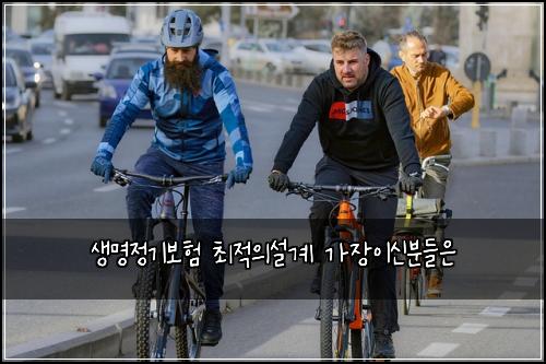생명정기보험 최적의설계  가장이신분들은