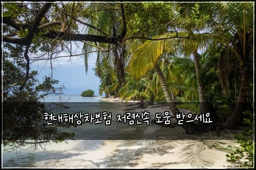 현대해상차보험 저렴신속  도움 받으세요