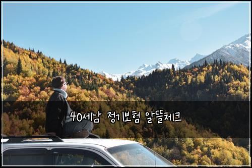 40세남 정기보험 알뜰체크 