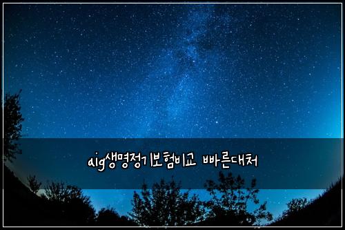 aig생명정기보험비교 빠른대처