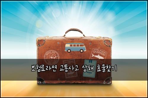 보험료라면 교통사고 상해 효율찾기