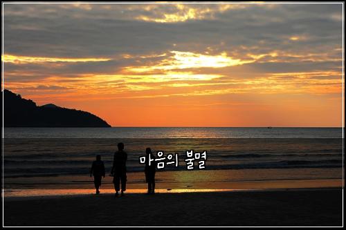 마음의 불멸