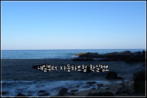 내일부터 자동차보험 확실정보 