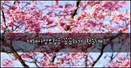 재해사망보험금 꼼꼼하게 확실대비