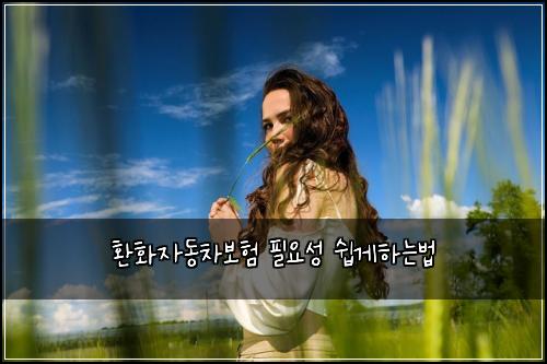 ํํ์๋์ฐจ๋ณดํ ํ์์ฑ ์ฝ๊ฒํ๋๋ฒ