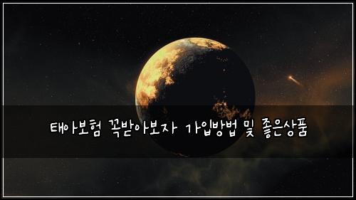 태아보험 꼭받아보자  가입방법 및 좋은상품