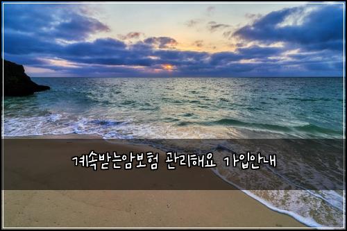 κ³μλ°λμ보ν κ΄λ¦¬ν΄μ κ°μ
μλ΄