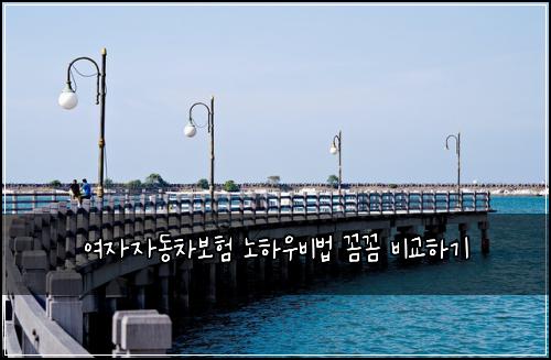 여자자동차보험 노하우비법  꼼꼼 비교하기