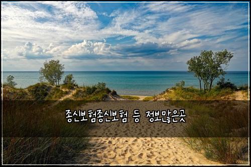 종신보험종신보험 등 정보많은곳