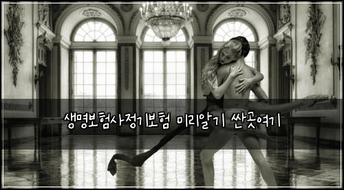 생명보험사정기보험 미리알기 싼곳여기