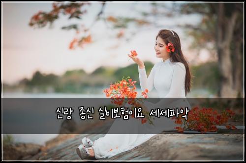 신랑 종신 실비보험이요 세세파악