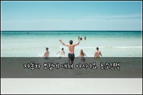 ์๋์ฐจ ๋ณดํ์ ๋ํด ์์๋์ ์ต์๊ฒฌ์ 