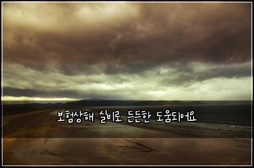 보험상해 실비로 든든한 도움되어요