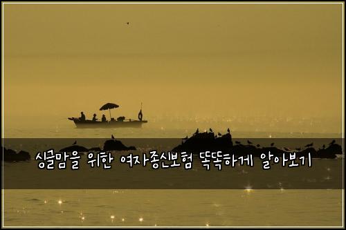 싱글맘을 위한 여자종신보험 똑똑하게 알아보기