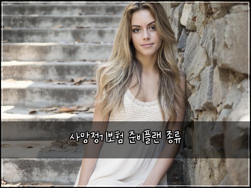 사망정기보험 준비플랜  종류