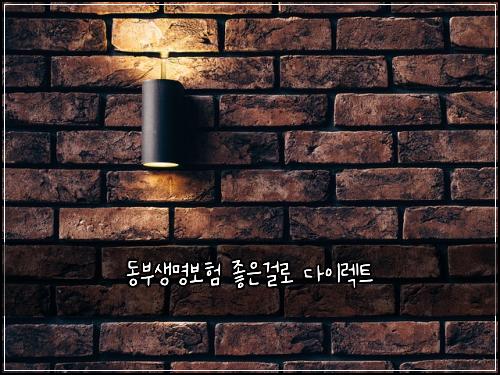 동부생명보험 좋은걸로  다이렉트