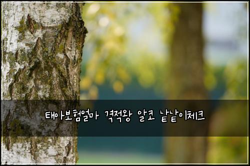 태아보험얼마 격적왕 알코 낱낱이체크