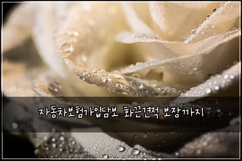 자동차보험가입담보 화끈견적 보장까지