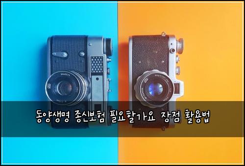 동양생명 종신보험 필요할가요  장점 활용법