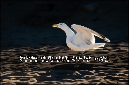 동양생명 갱신형 암보험 특약상담  제일싼