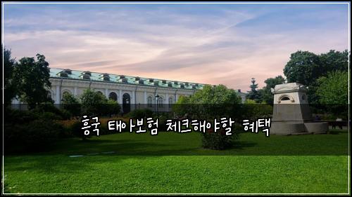 흥국 태아보험 체크해야할  혜택