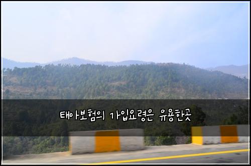 태아보험의 가입요령은 유용한곳