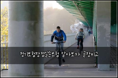 정기보험장점실손보험 알아보자 곧장비교