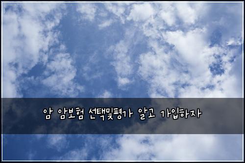암 암보험 선택및평가  알고 가입하자
