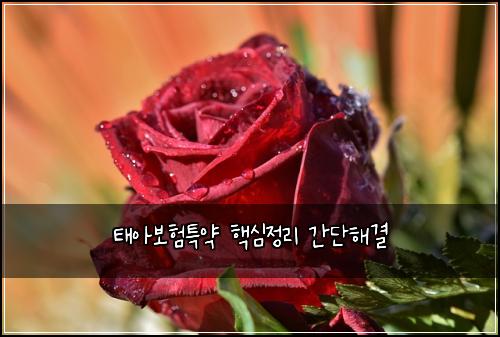 태아보험특약 핵심정리 간단해결