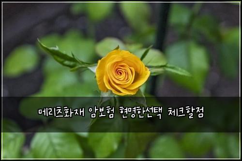 메리츠화재 암보험 현명한선택  체크할점
