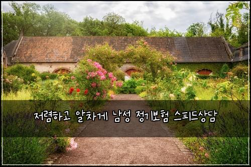 저렴하고 알차게 남성 정기보험 스피드상담 
