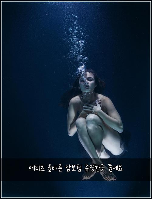 메리츠 올바른 암보험 유명한곳  좋네요