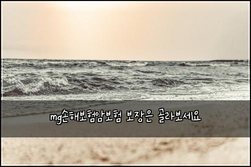 mgμν΄λ³΄νμ보ν 보μ₯μ 골λΌλ³΄μΈμ