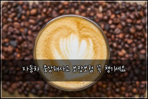 자동차 중상해사고 보장보험 꼭 챙기세요
