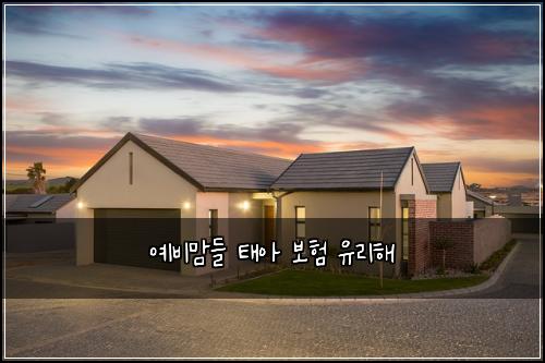 ์๋น๋ง๋ค ํ์ ๋ณดํ ์ ๋ฆฌํด