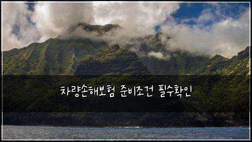 차량손해보험 준비조건  필수확인