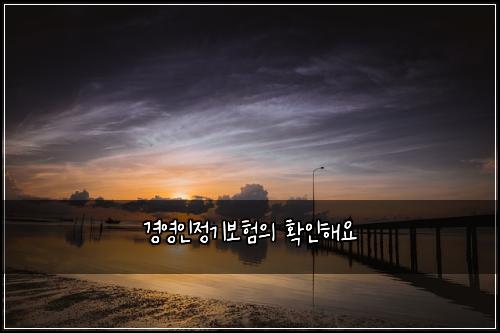 경영인정기보험의 확인해요