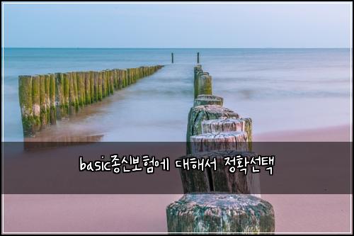 basic종신보험에 대해서 정확선택