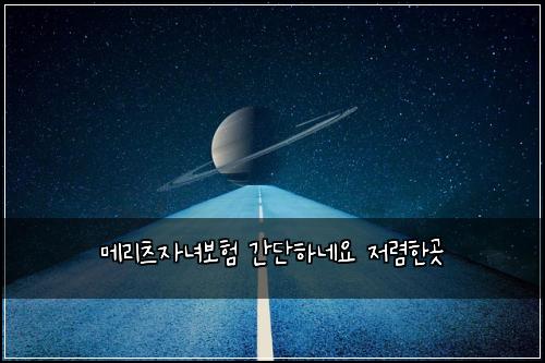 메리츠자녀보험 간단하네요  저렴한곳