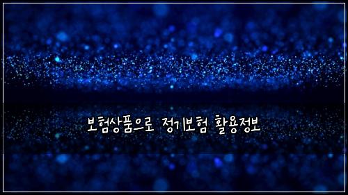 보험상품으로 정기보험 활용정보