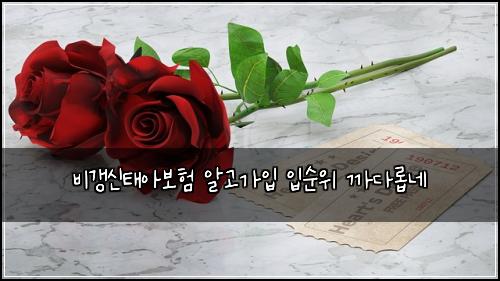 비갱신태아보험 알고가입  입순위 까다롭네
