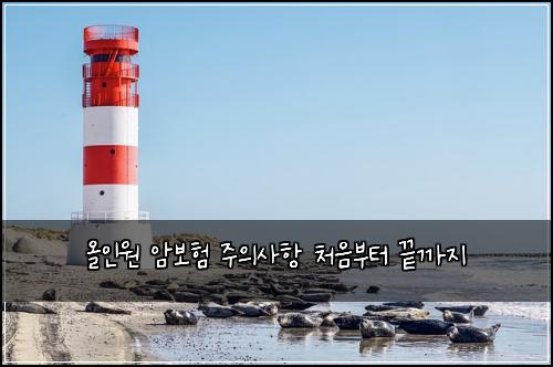 올인원 암보험 주의사항  처음부터 끝까지