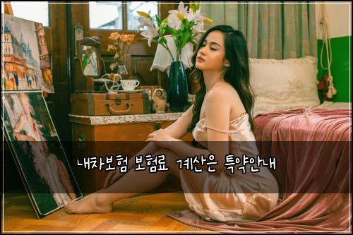 내차보험 보험료 계산은 특약안내