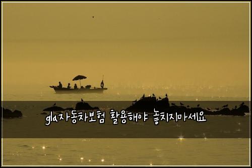 gla자동차보험 활용해야  놓치지마세요