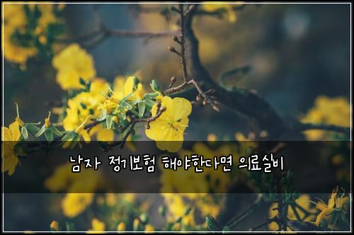 남자 정기보험 해야한다면  의료실비