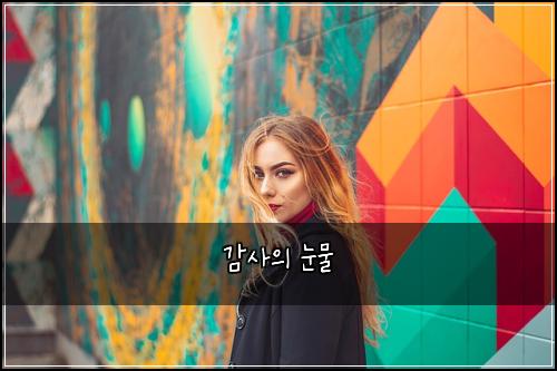 감사의 눈물